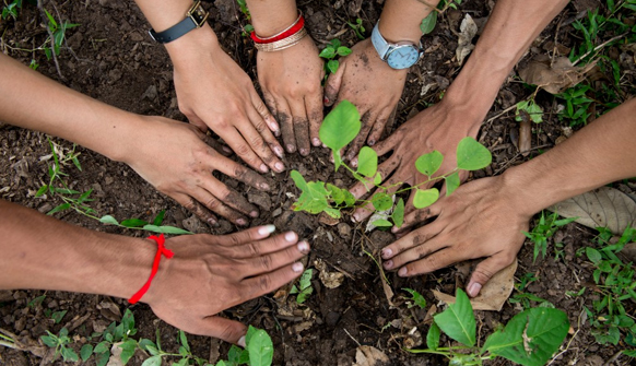 Día del forjador ambiental