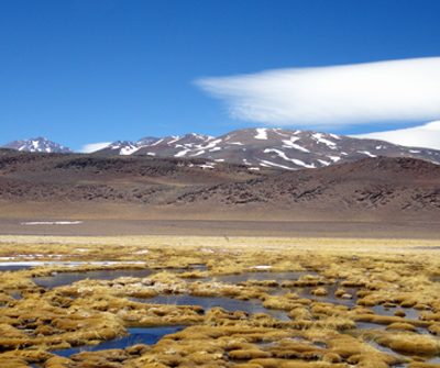 Protección de humedales en Atacama