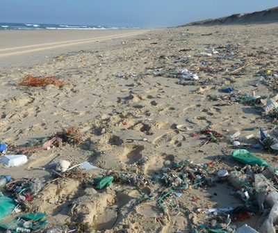 Lanzan el programa Voluntarios por el océano