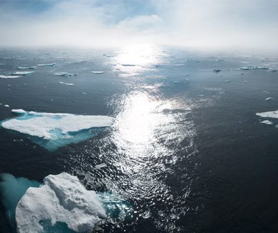 Lanzamiento de la campaña “Que tu huella sea positiva”