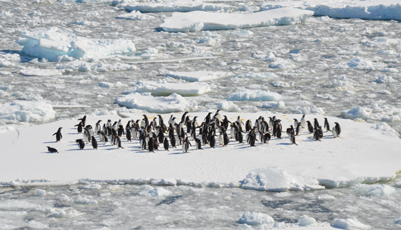 Cambio climático la Antártida