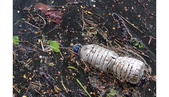 Muestreo Nacional de Basura revela la contaminación de los ríos del país