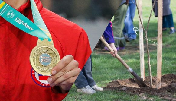 Un arbol por medalla 3