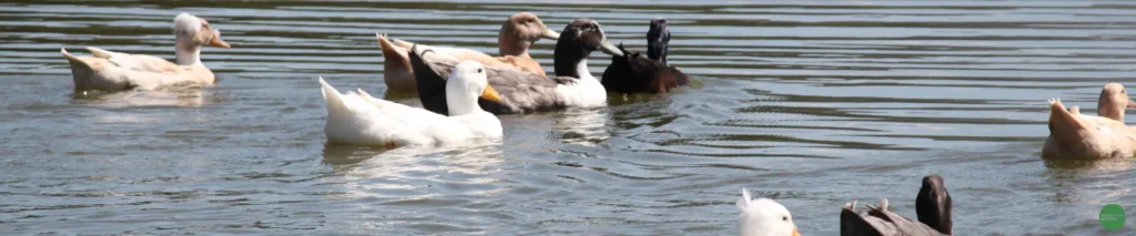 Cuando la naturaleza llama a la reflexión 5 Cuando la naturaleza llama a la reflexión