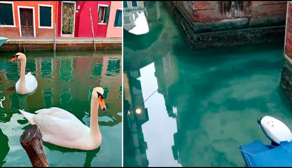 Cuando la naturaleza llama a la reflexión