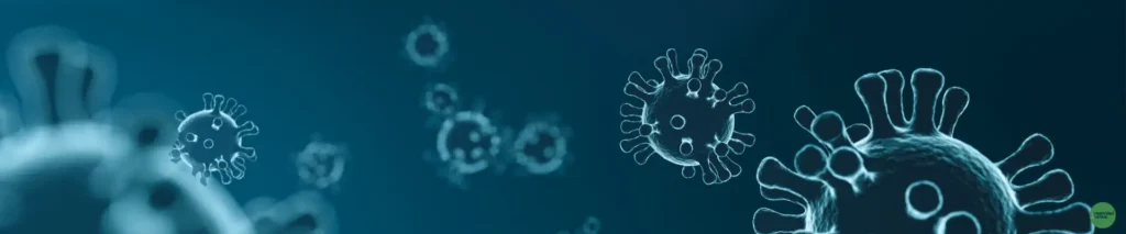 La gestión de los residuos en medio de la pandemia 4 La gestión de los residuos en medio de la pandemia