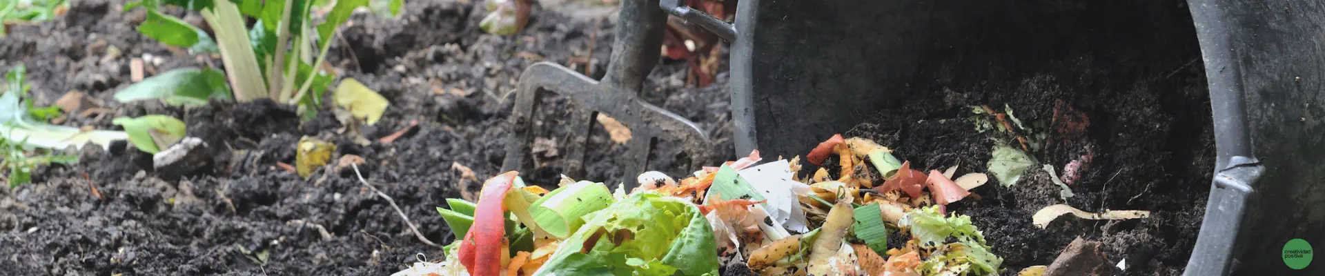 Presentan Estrategia Nacional de Residuos Orgánicos