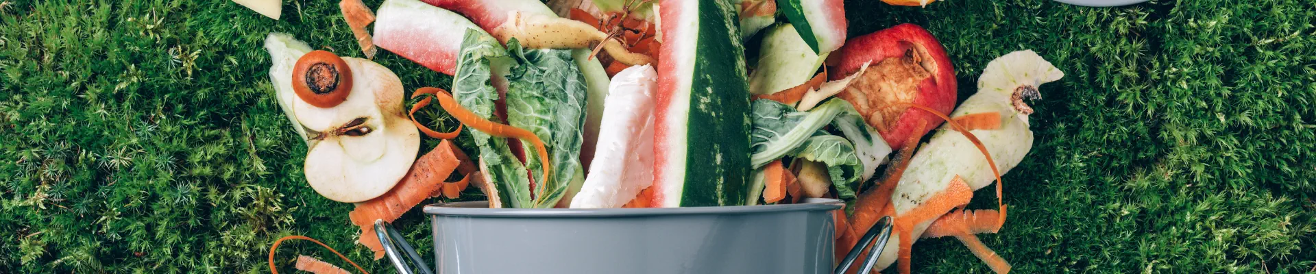 Avanza el proyecto de ley de residuos orgánicos