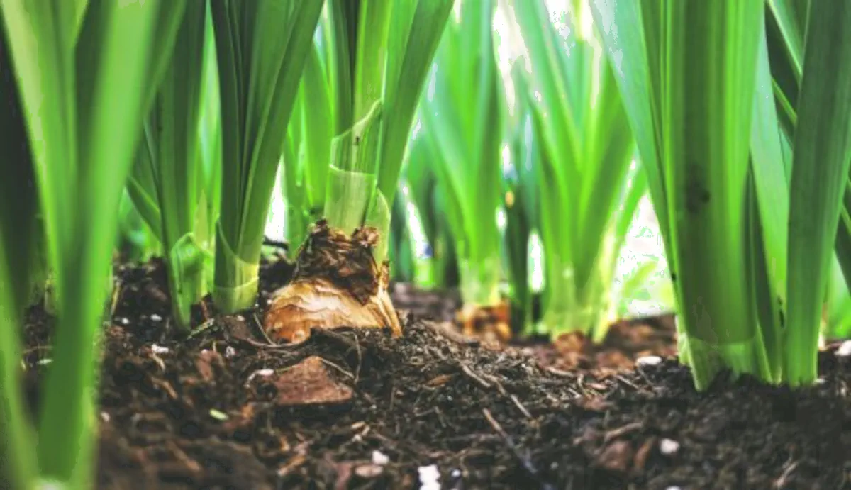 conservación del suelo