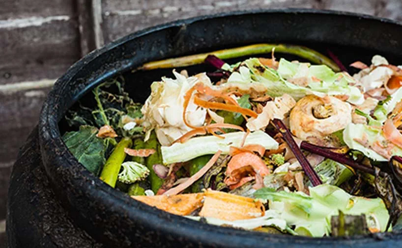 conservación del suelo