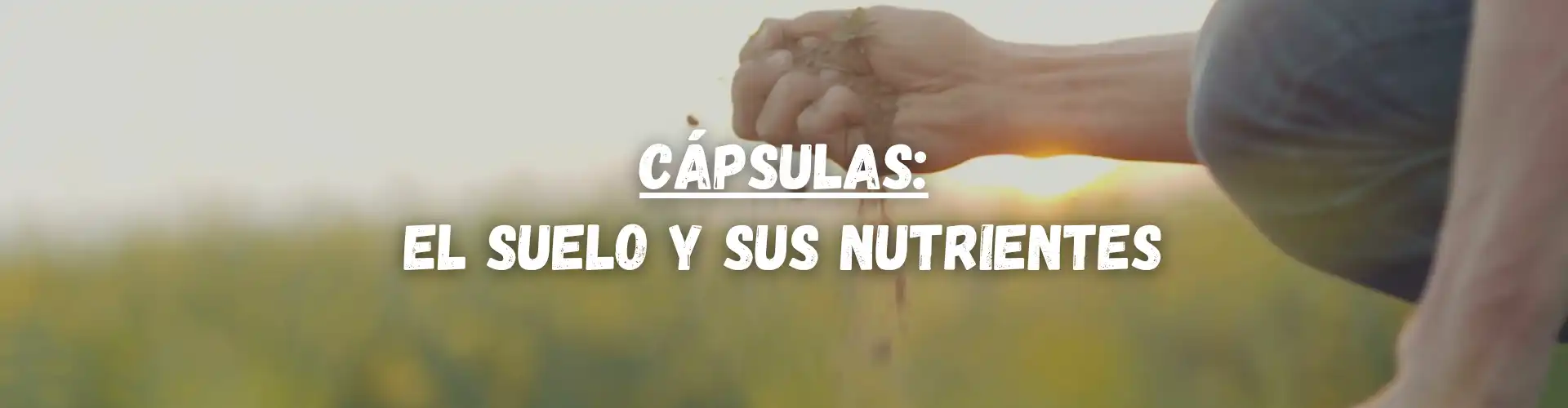 Header Educacion