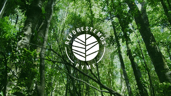 2019 - Reforestación